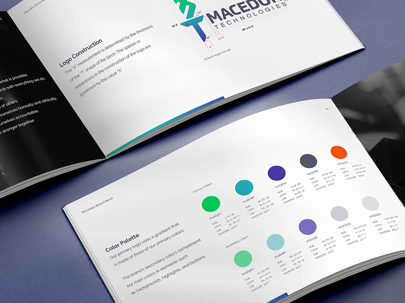 A Brand Book showing a pallet colors