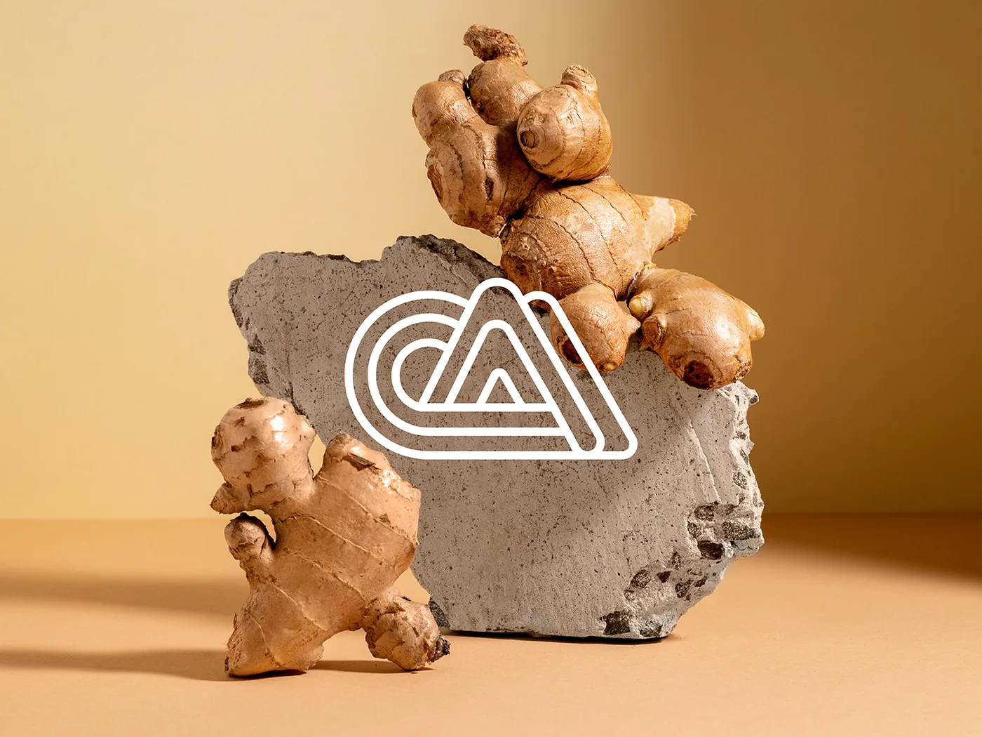 Trader Market logo in a conceptual composition, decorated with a stone and gingers in a beige background