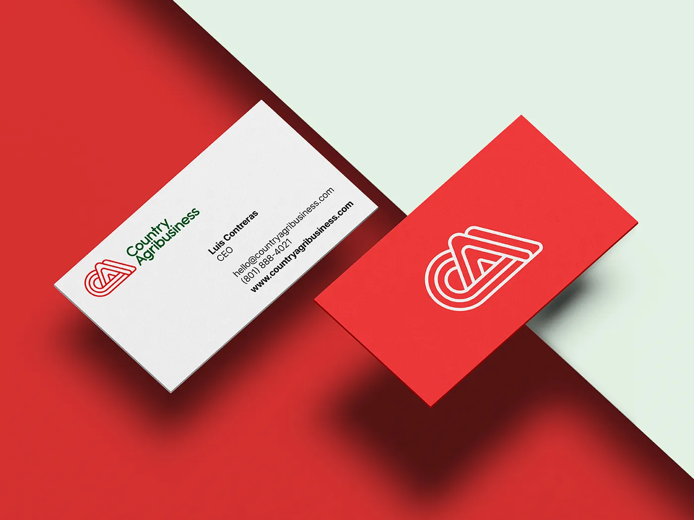 Business Card for a small business. Front and Back business card over a red background